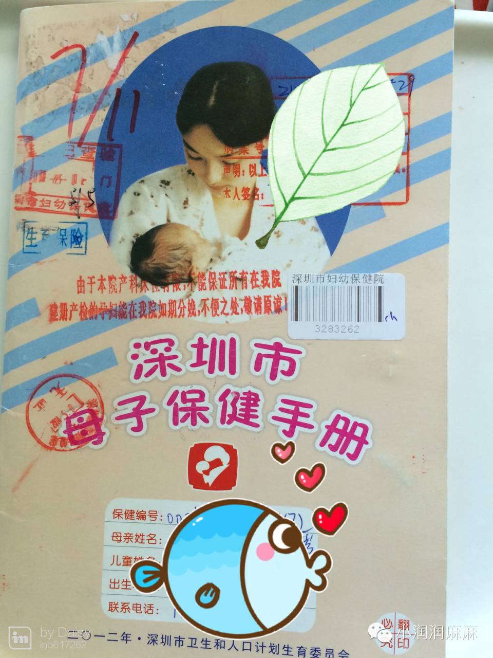 怀孕日记孕期可以任性,但不能任意-怀孕期