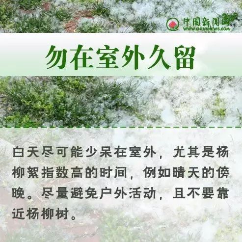 其实对付杨絮柳絮最好的方法就是