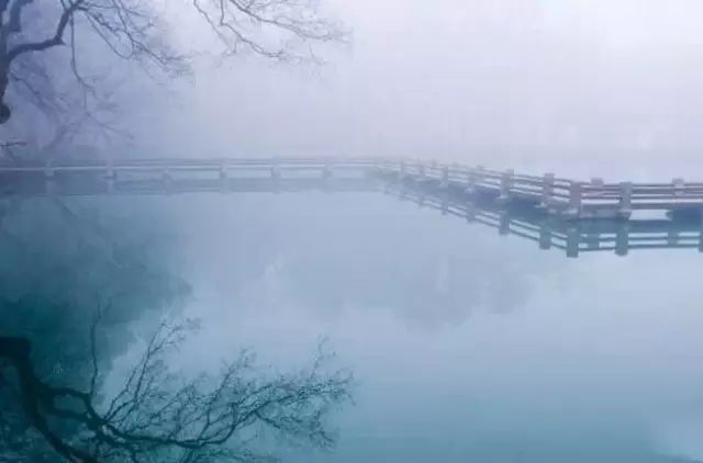 20170522172710_oyceiugsvt.png?v=1762008630986