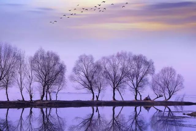 20170522172709_dp4mvwonsa.png?v=1762008630986