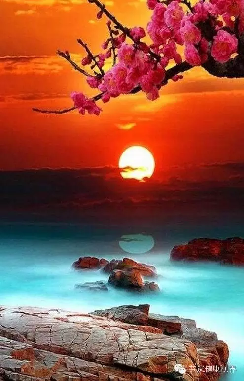 【转载】中老年人不要自作多情 - 爱梦晓 - xbdxyx的博客 中老年人不要自作多情 - 西瓜甜甜 - 茫茫网海,遇上你是我的缘
