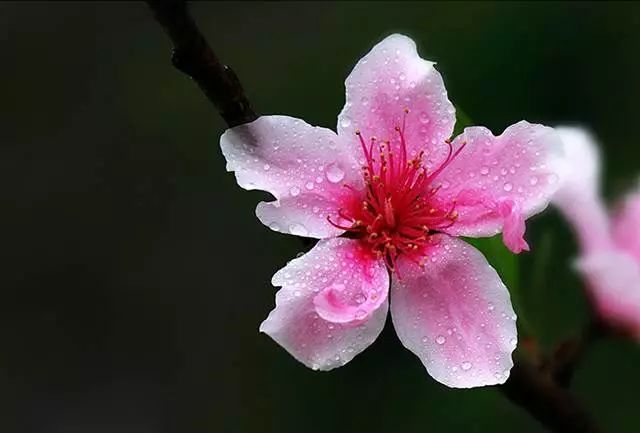 溪上吟草|逍林初中岑燮钧花园的无题诗老师新址莱芜初中图片