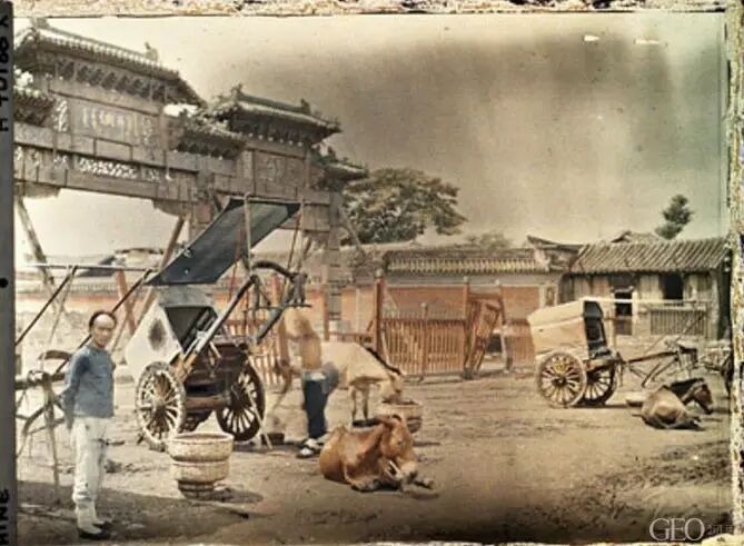 文章配图