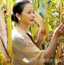 《那年我对你的承诺》颂知青 穆丽燕