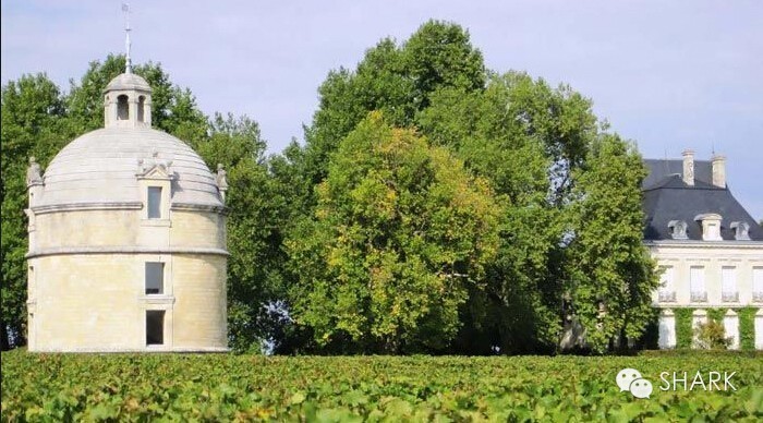SHARK Grands Crus丨Château Latour  拉图尔酒庄