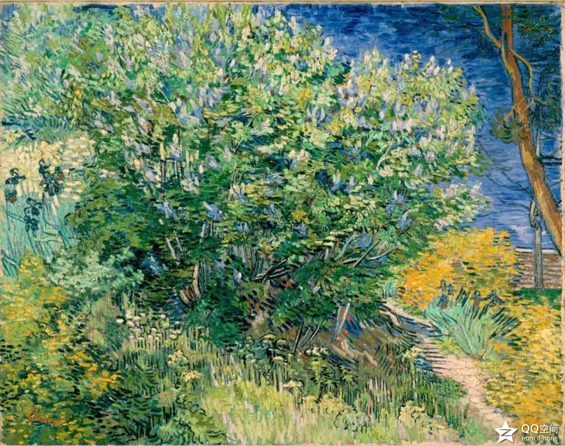 【梵高】不常见的经典油画作品30幅（珍藏）