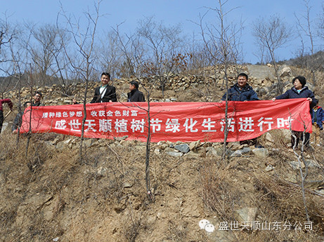 ɫ룬ջɫƸʢ˳ɽֹ˾ֲ̻Բ 