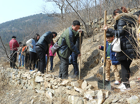 ɫ룬ջɫƸʢ˳ɽֹ˾ֲ̻Բ 