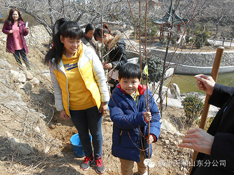 ɫ룬ջɫƸʢ˳ɽֹ˾ֲ̻Բ 