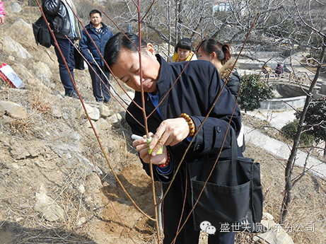 ɫ룬ջɫƸʢ˳ɽֹ˾ֲ̻Բ 