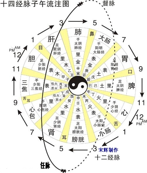 超赞的养生十四经络图 配经络动画图 (必转)