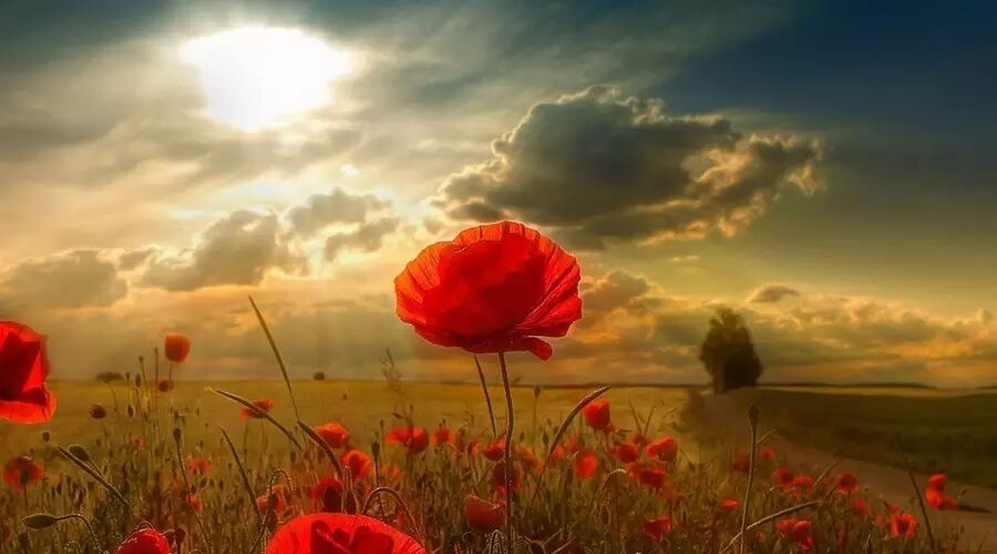 Britt Nicole——You