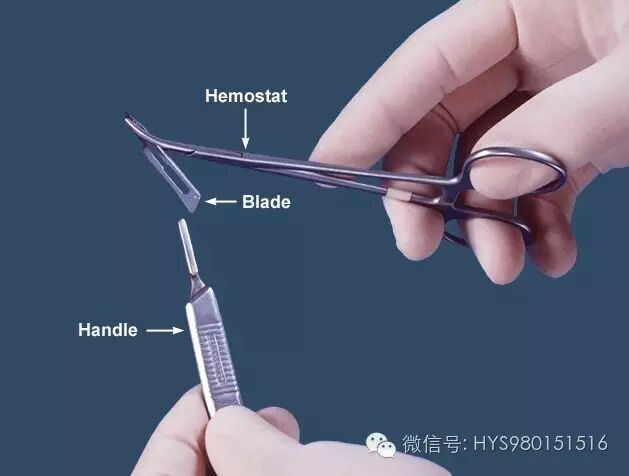 基础外科用刀有哪些常用的基础外科手术器械_https://www.jmylbn.com_新闻资讯_第4张