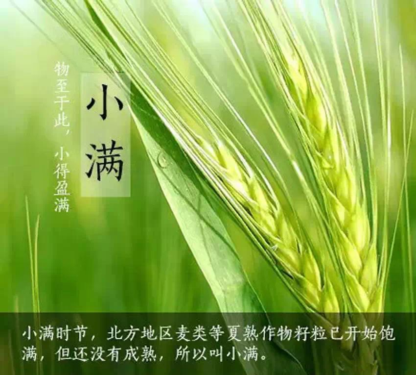 小满