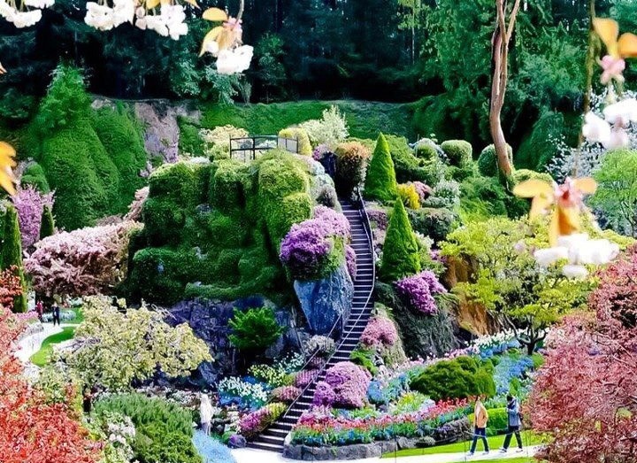 最美花园:加拿大布查德花园
