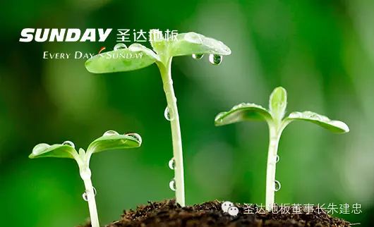 木地板十大品牌廠(chǎng)家|中國木地板十大品牌