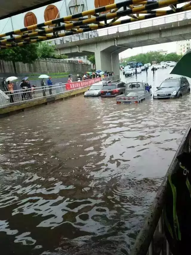 登录查看大图
