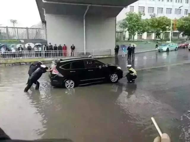 登录查看大图
