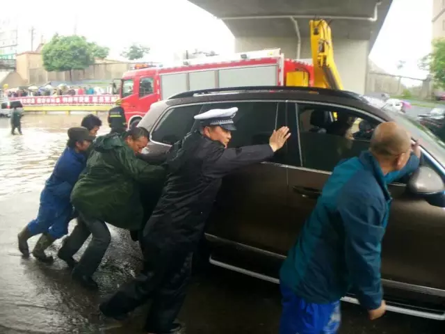 登录查看大图