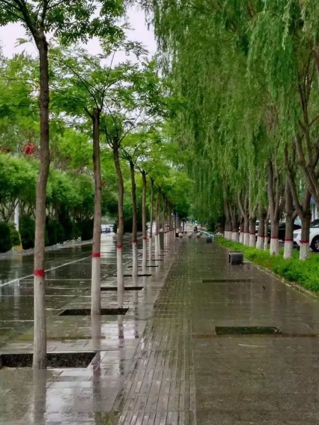 登录查看大图