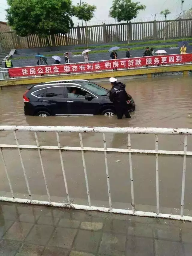 登录查看大图