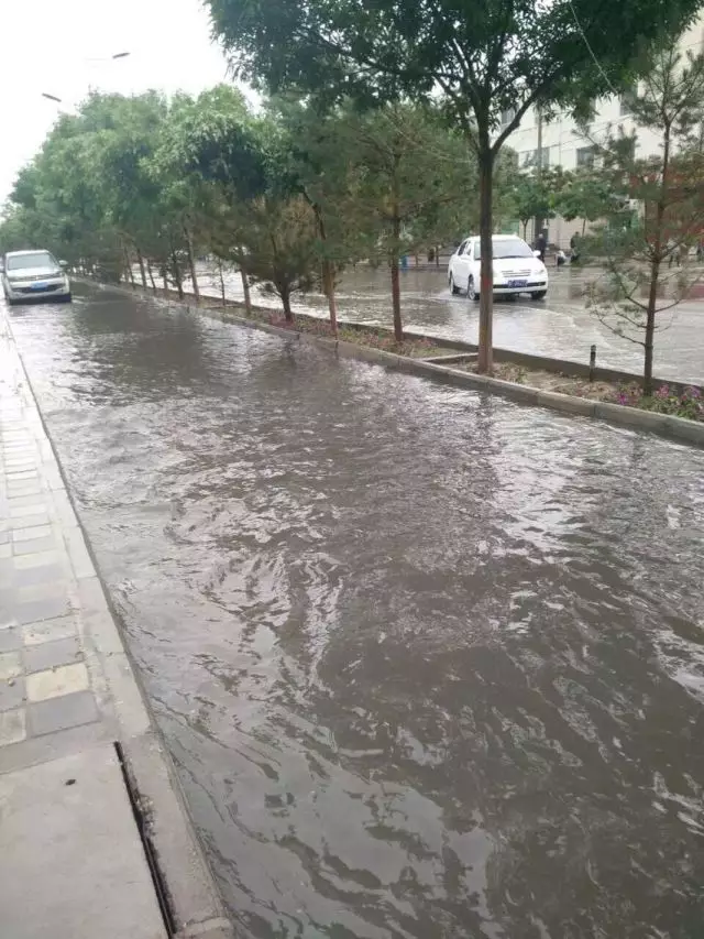 登录查看大图