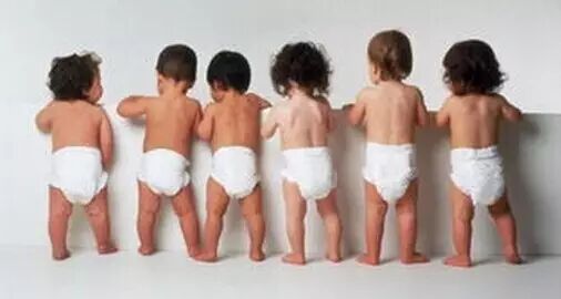 二胎与狗可以兼得-怀孕期