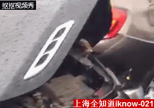 沪宁高速车祸惨烈，4月2日的湖北高速是这样的