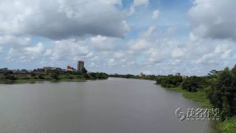 【茂南区袂花江飞马段的水浮莲已清理完毕啦,又一道靓丽风景】