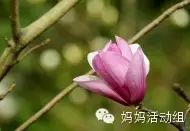 周星驰经典语录搞笑的同学雷人的老师 ysdrxl