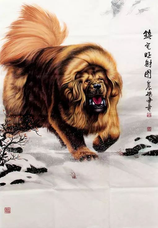 镇宅旺财图:传神逼真的藏獒画