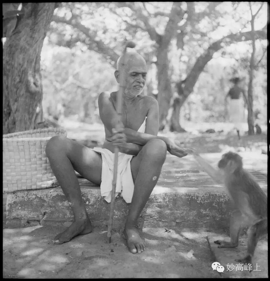 圣者| <wbr>拉马那·马哈希的生平