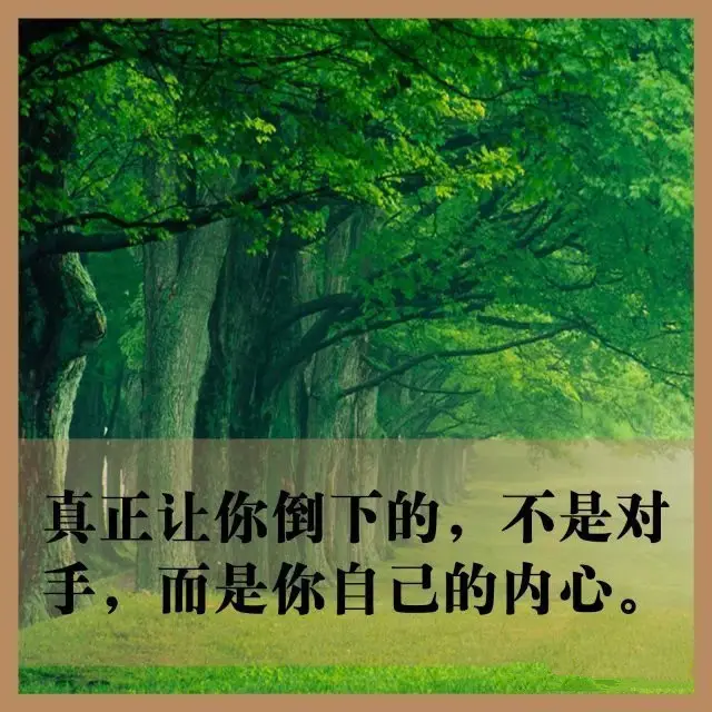 如果你累了，<span class='chameleon-code-v2'></span>请看这9张图！<span class='chameleon-code-v2'></span>相信你的感觉就会好很多！<span class='chameleon-code-v2'></span> 第7张