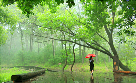 自驾:成都—江油—马角坝—清沟—露营营地—青林口古镇—马角坝