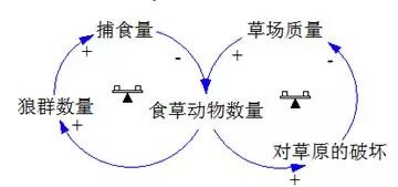 跟《狼图腾》学系统思考