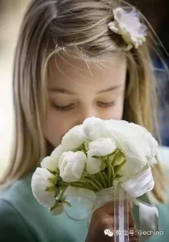 新人须知：婚宴酒店洽谈全攻略