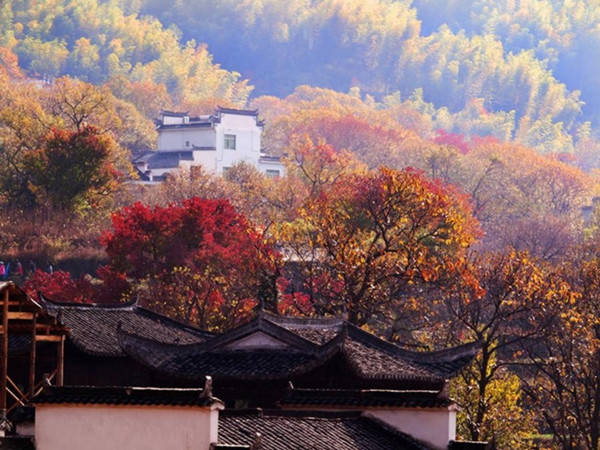 令大彻大悟的人生感言 - 嵯峨山人朝鸣 - 嵯峨山人朝鸣的博客 说的太好了!一口气看了好几遍,十段话让你大彻大悟nbsp;!! - suay123“阿庆嫂” - 阿庆嫂欢迎来自远方的好友!