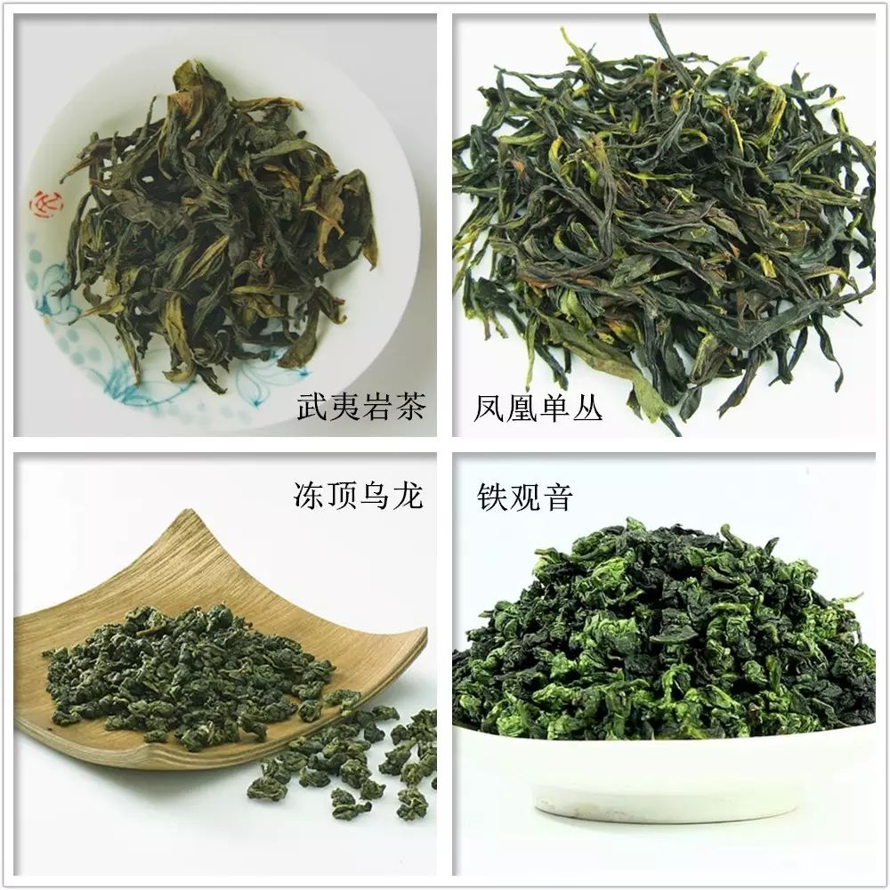 铁观音是绿茶吗?