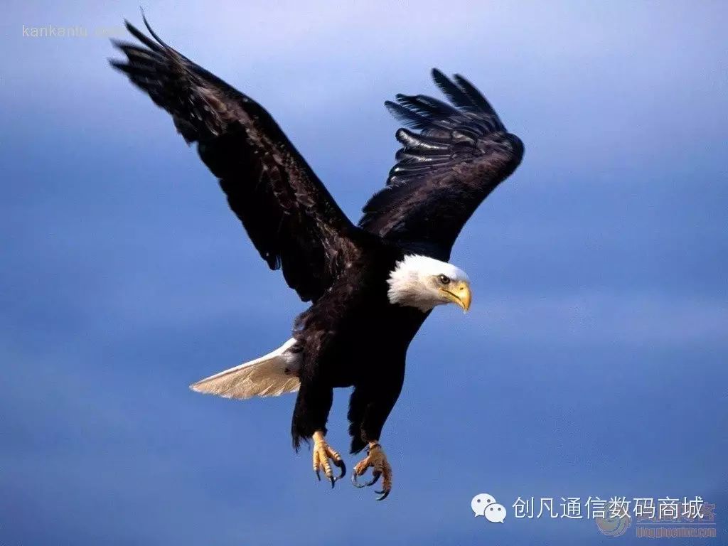 遇到人生的绝境,我们该如何面对