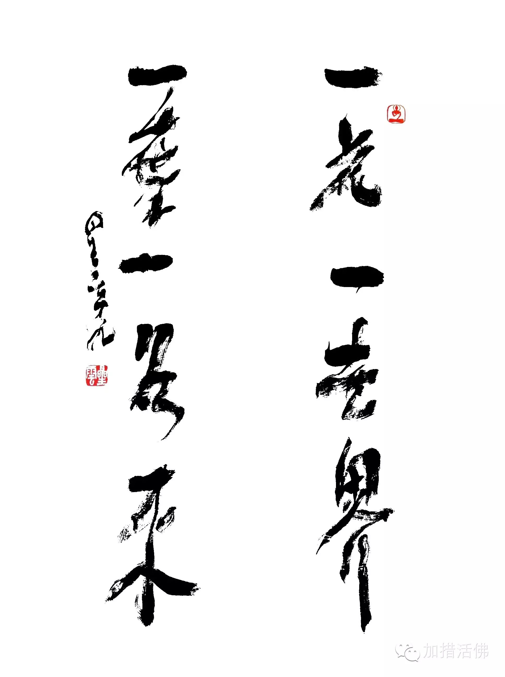 星云长老赠予加措活佛最好的祝福:一花一世界 一叶一如来