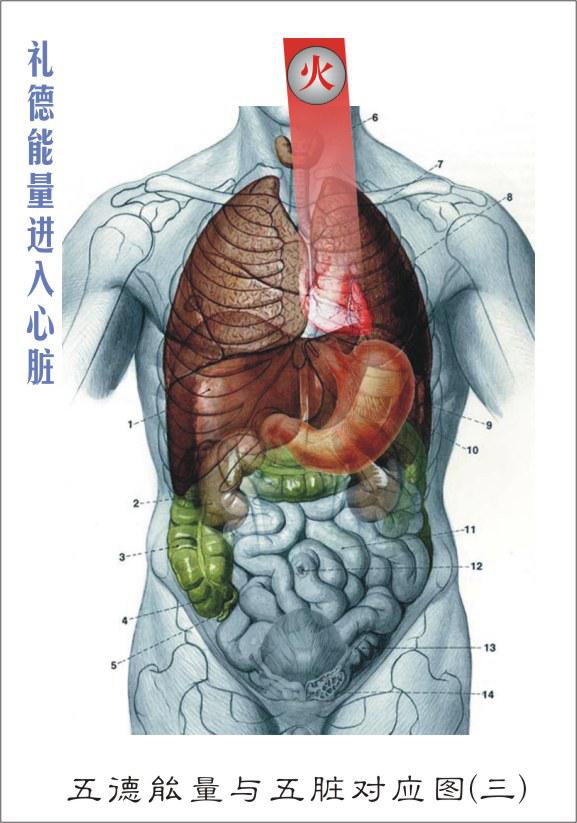 ����¡���Ƴ�����������ࡱ�������Է����²�Ʒ