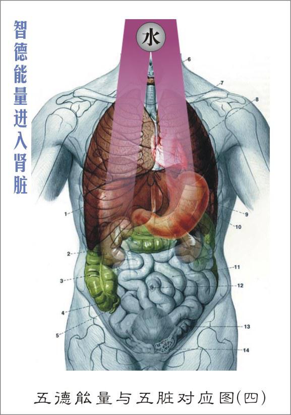 ����¡���Ƴ�����������ࡱ�������Է����²�Ʒ