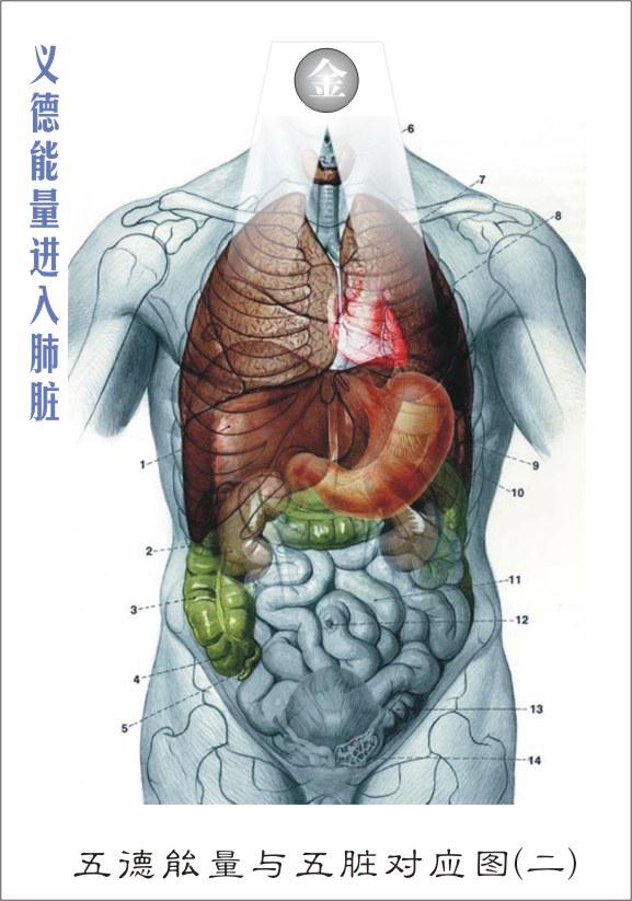 ����¡���Ƴ�����������ࡱ�������Է����²�Ʒ