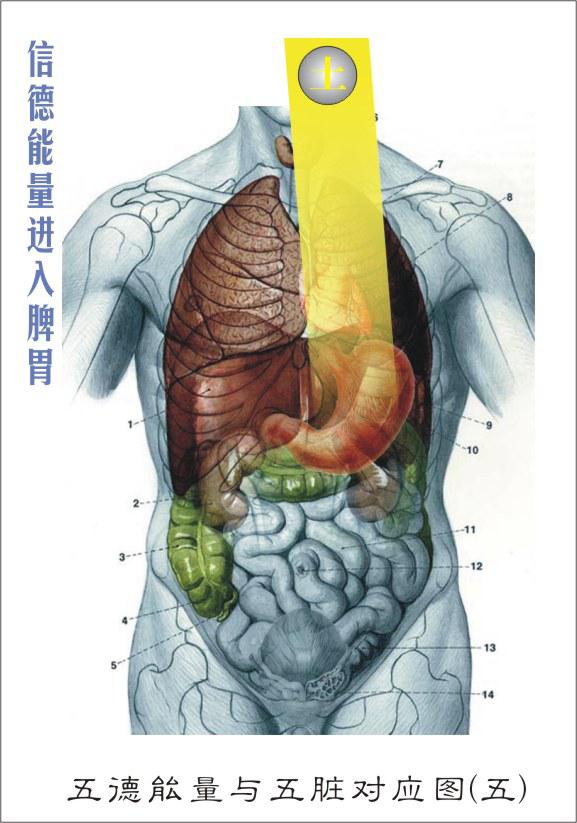 ����¡���Ƴ�����������ࡱ�������Է����²�Ʒ