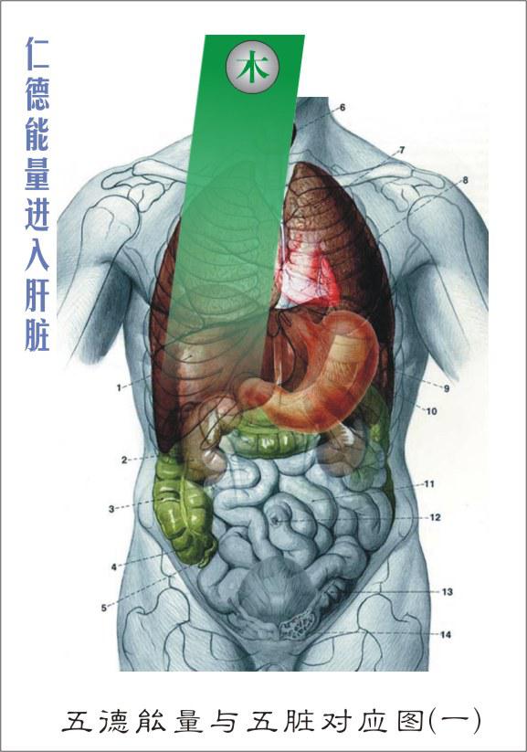 ����¡���Ƴ�����������ࡱ�������Է����²�Ʒ