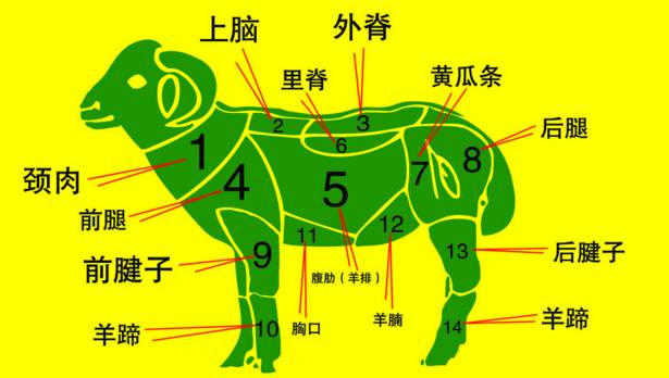 涮肉必知上脑黄瓜条小三岔羊肉最好吃的部位是哪一个