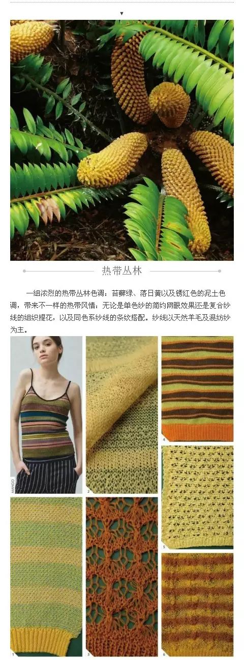 针织网