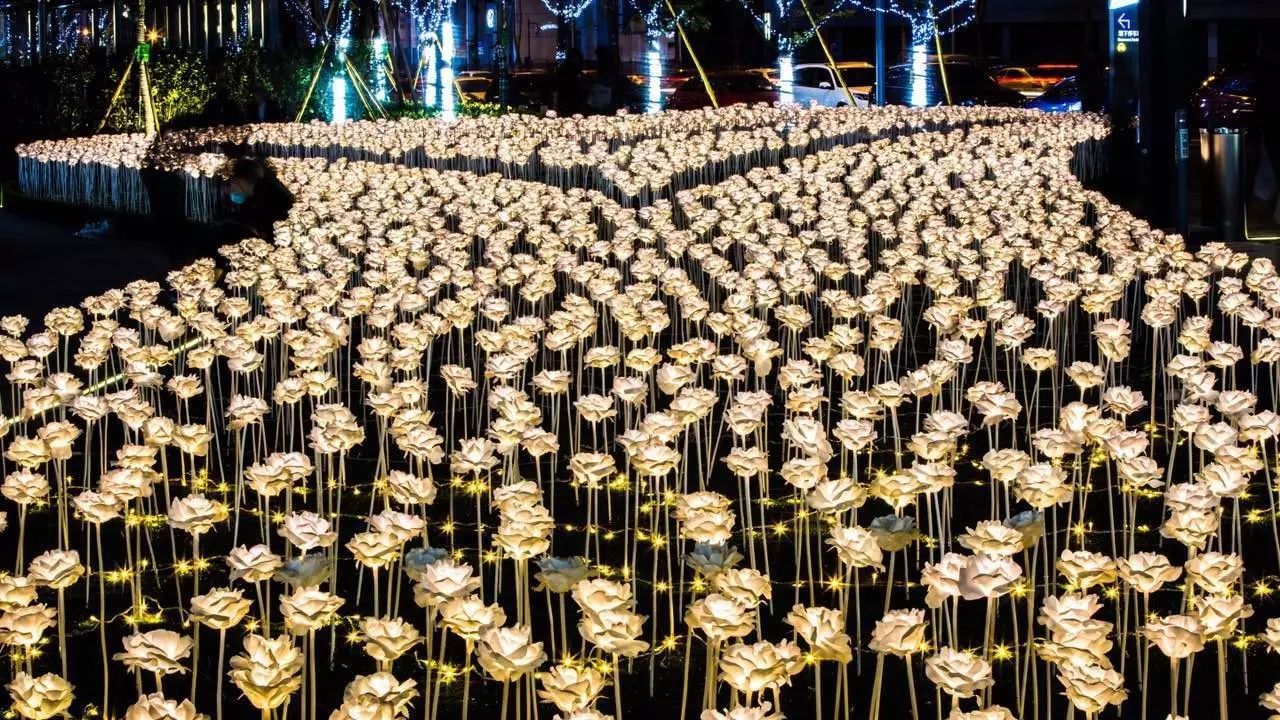 史上最大规模的夜光花海开园啦!不要门票,看一眼就美到怀孕!-怀孕期