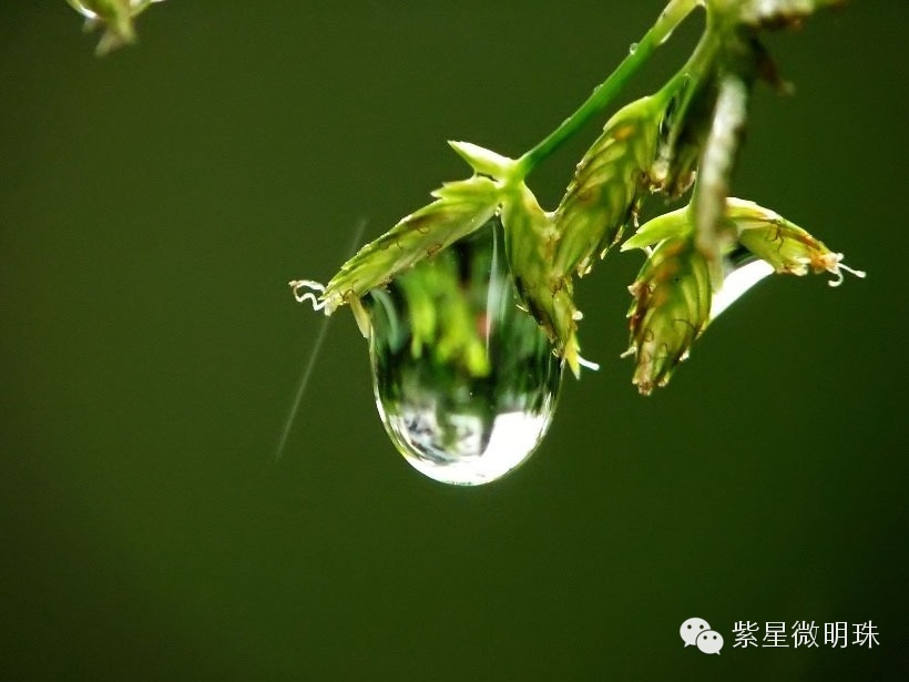 说一说水晶越带越透的问题