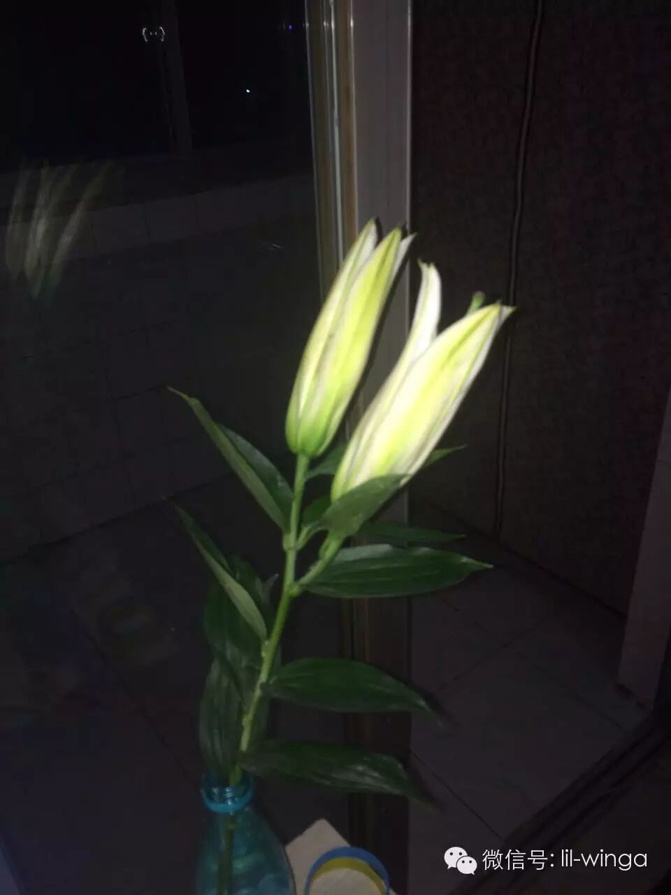 image-2
